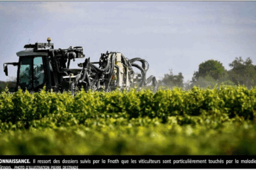 Communique-de-presse-2025-06-21-LYONNE-REPUBLICAINE-21-juin-2025